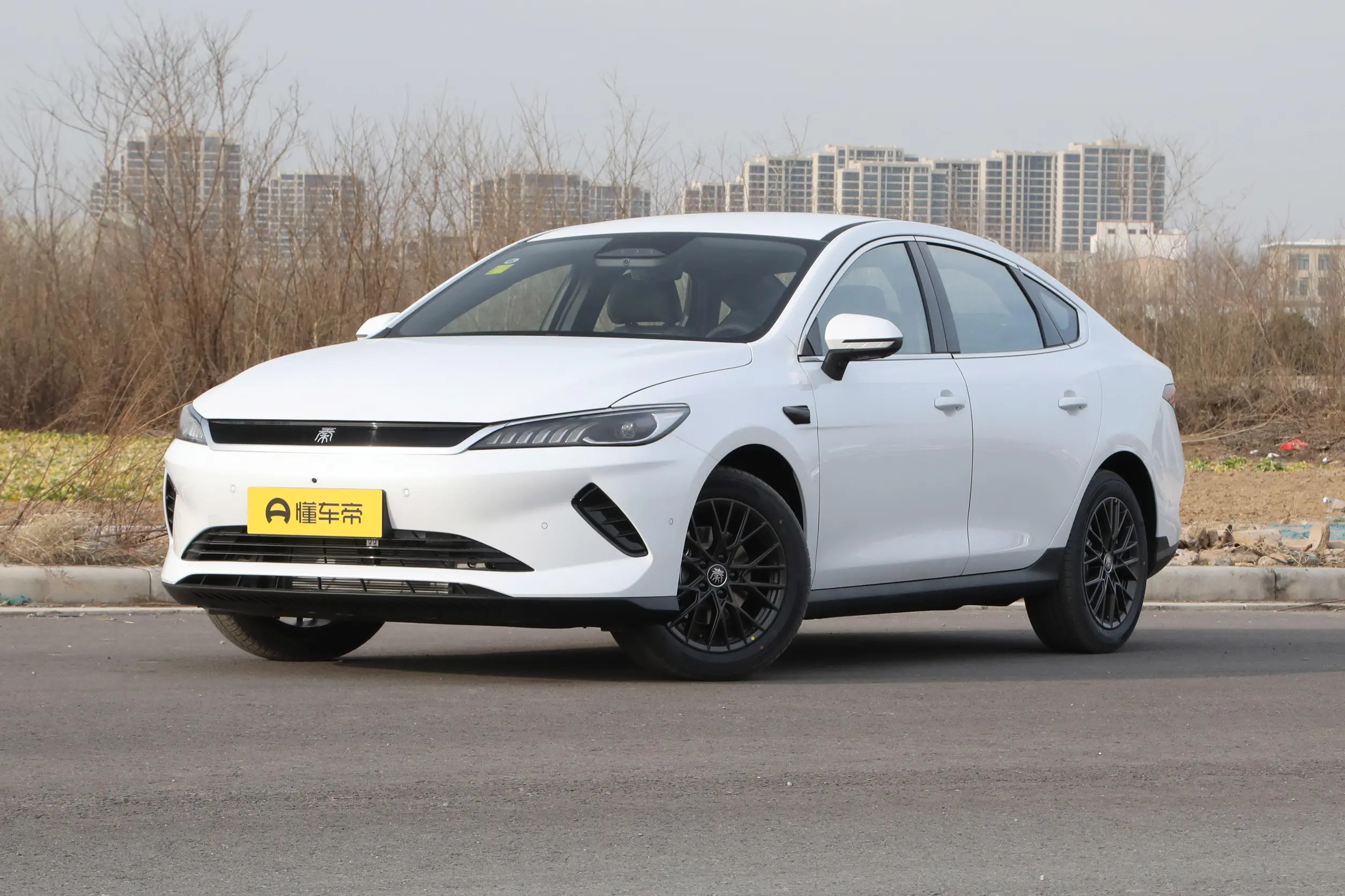 
2025 BYD Qin PLUS EV Smart Driving Edition 510KM Leading full									