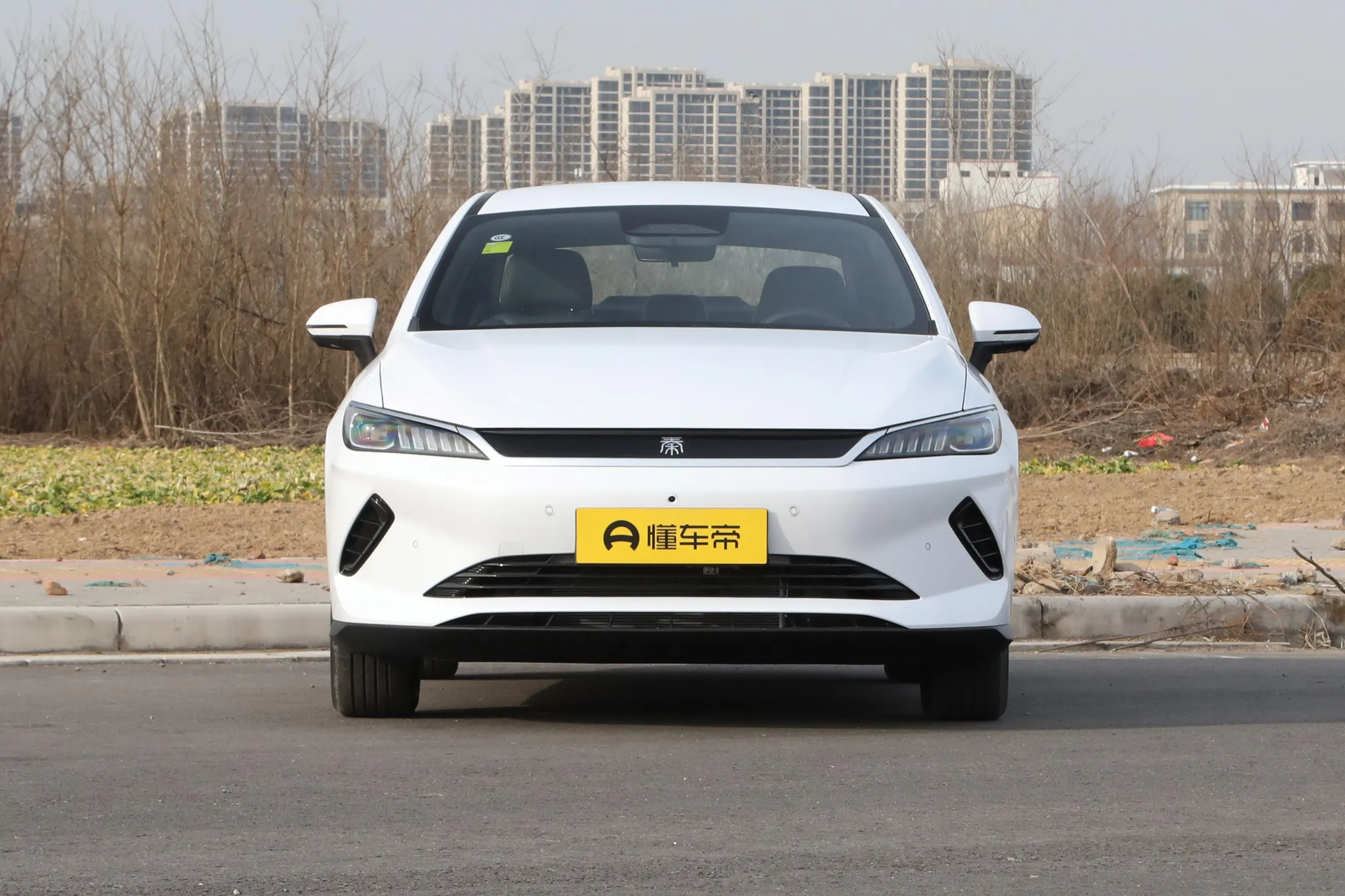 
2025 BYD Qin PLUS EV Smart Driving Edition 510KM Leading full									