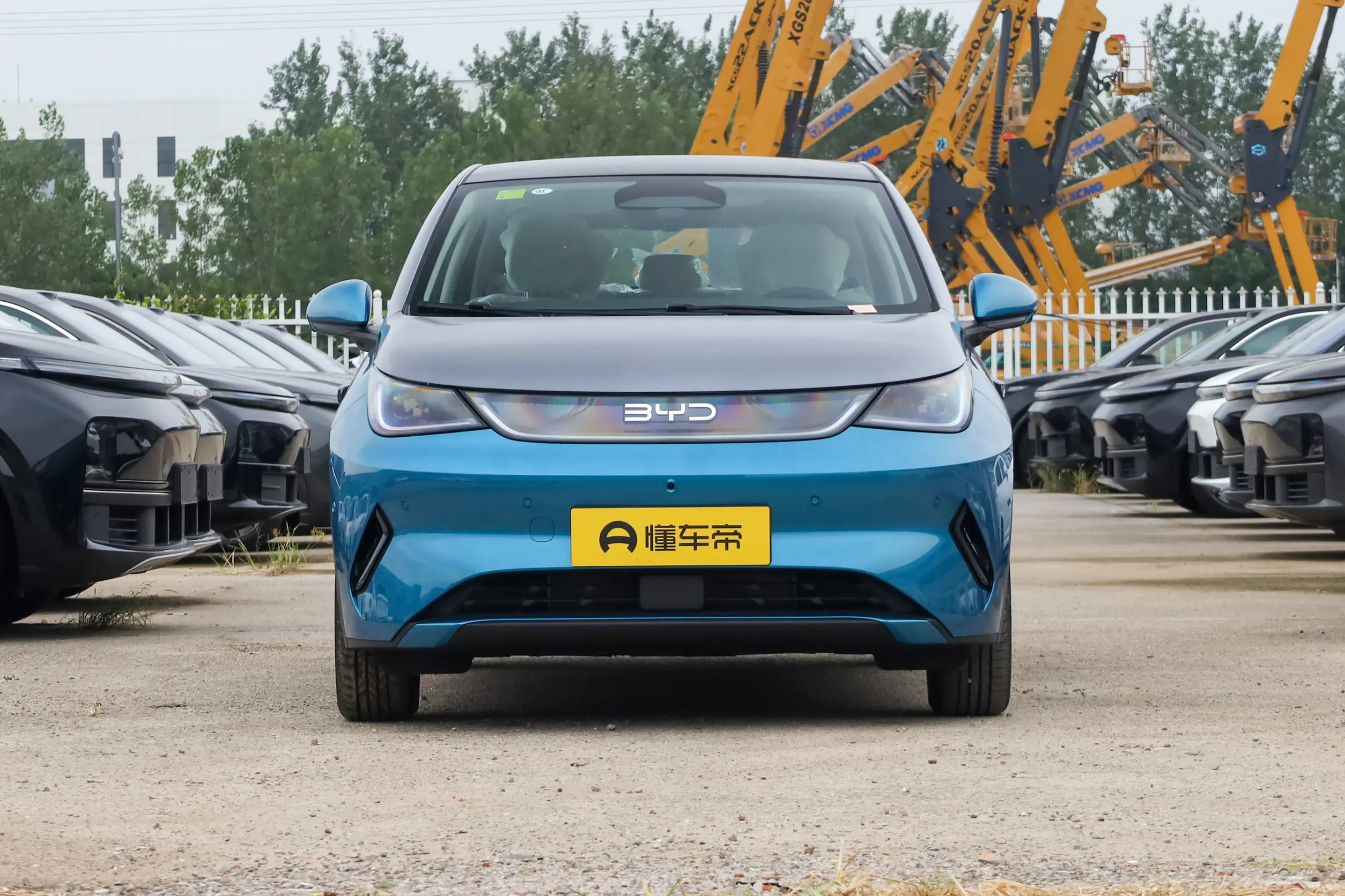 
BYD Dolphin 2025 Intelligent Driving Edition 410KM Fashion full									