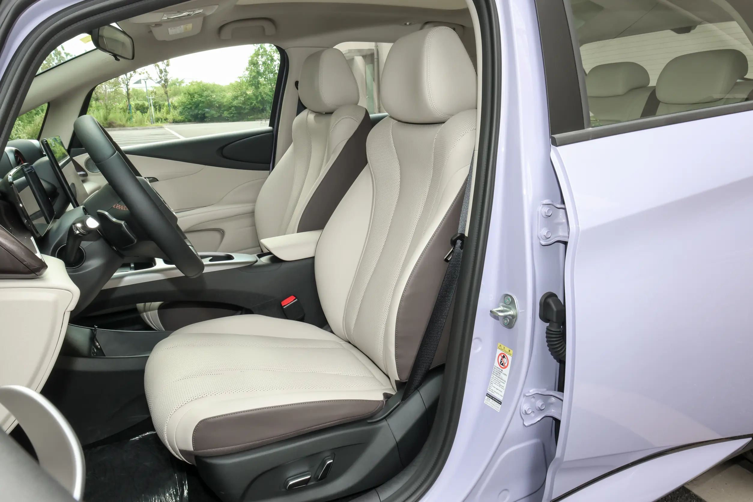 
BYD Dolphin 2025 Intelligent Driving Edition 410KM Fashion full									