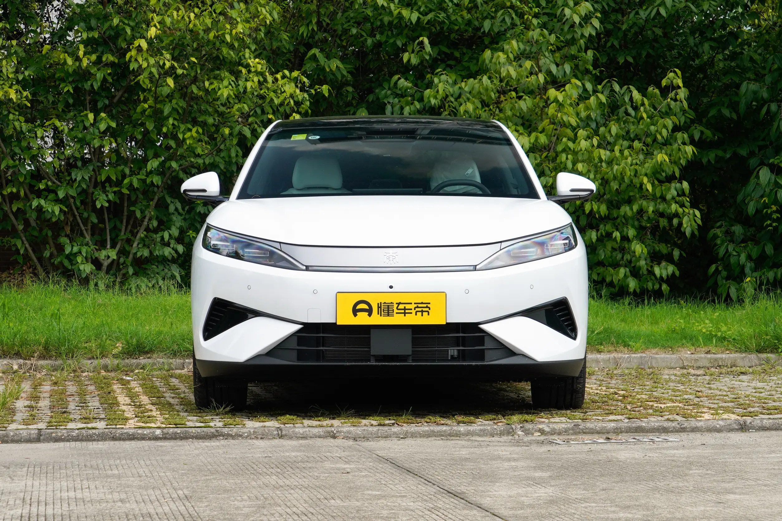 
BYD Qin MAX EV 2026 630KM Excellence full									