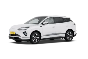 BYD Sealion 06 DM-i 2026 310 Flagship Edition
