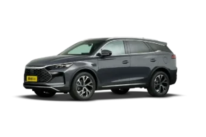 BYD Tang DM-i 2025 Intelligent Driving Edition 115KM Premium