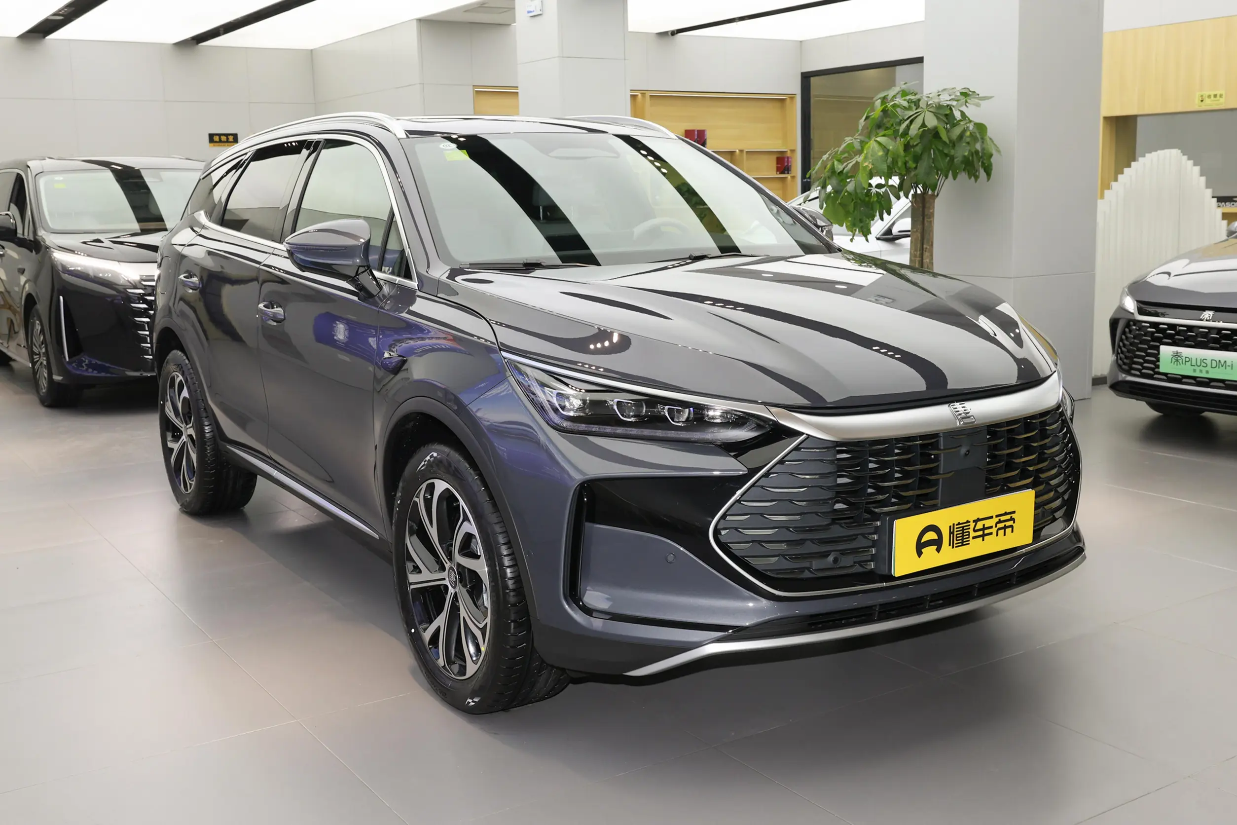 
BYD Tang DM-i 2025 Intelligent Driving Edition 115KM Premium full									