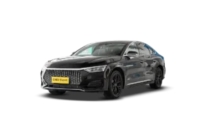 BYD e9 2025 506km Luxury Edition